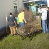 schler bei der gartenarbeit